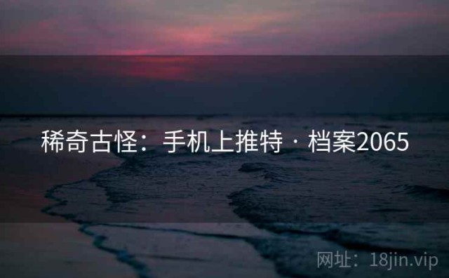 稀奇古怪：手机上推特 · 档案2065