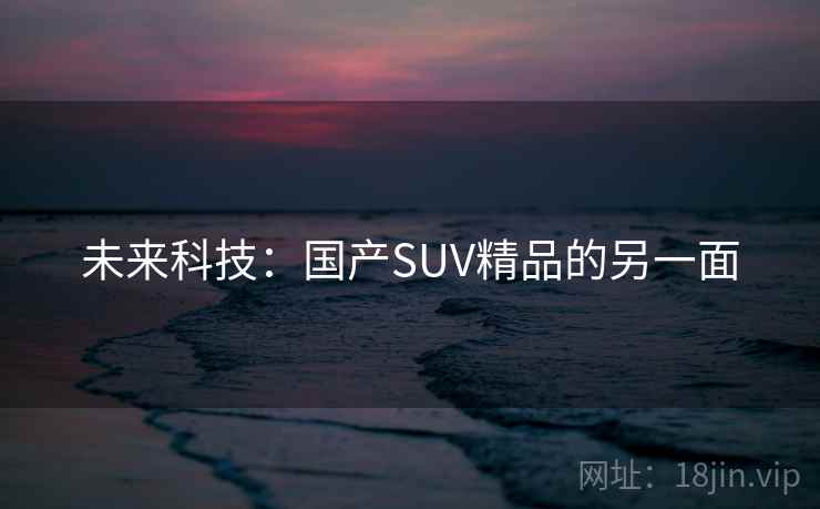 未来科技：国产SUV精品的另一面