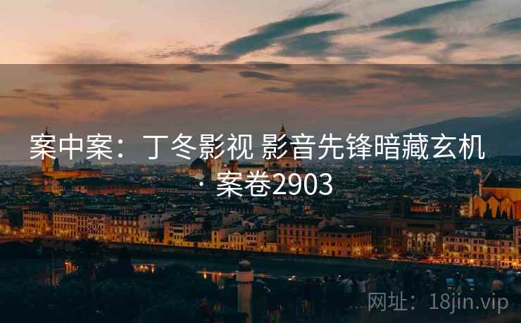 案中案：丁冬影视 影音先锋暗藏玄机 · 案卷2903