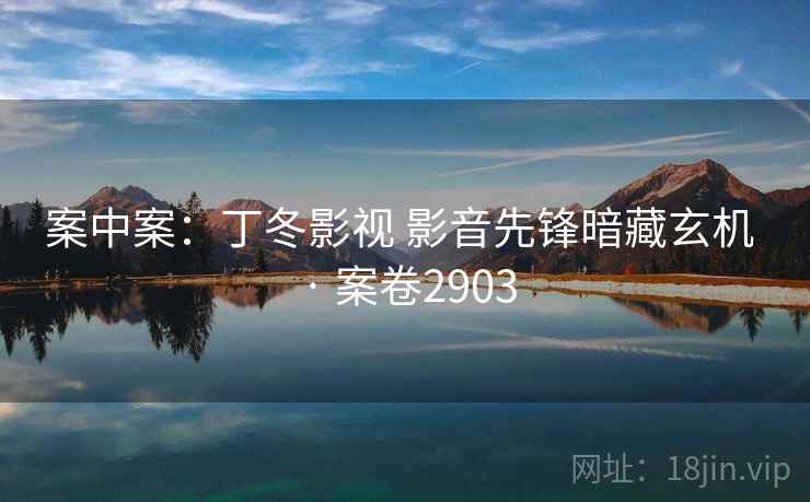案中案：丁冬影视 影音先锋暗藏玄机 · 案卷2903