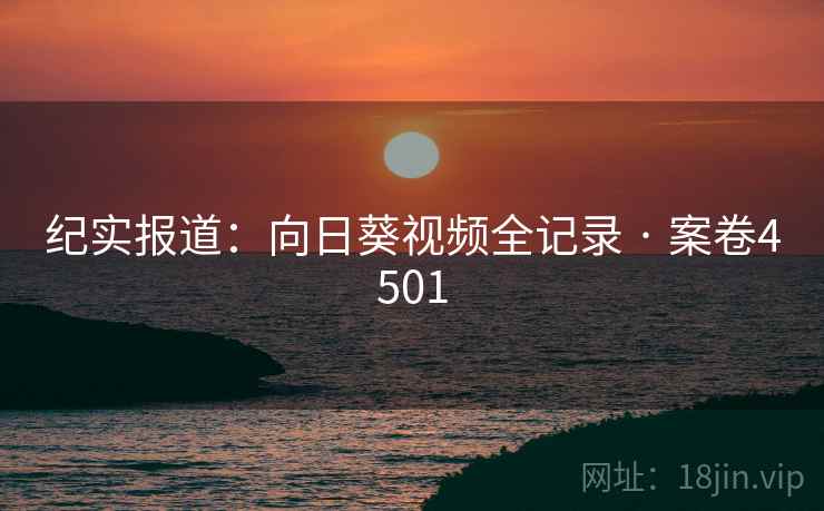 纪实报道：向日葵视频全记录 · 案卷4501