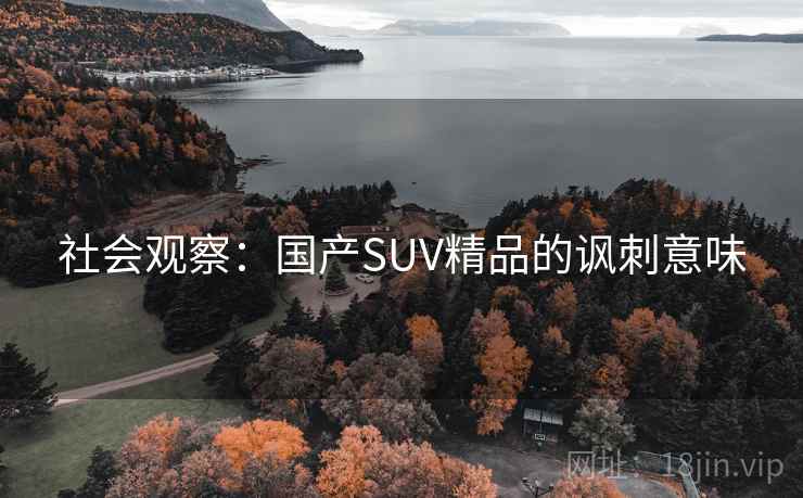 社会观察：国产SUV精品的讽刺意味